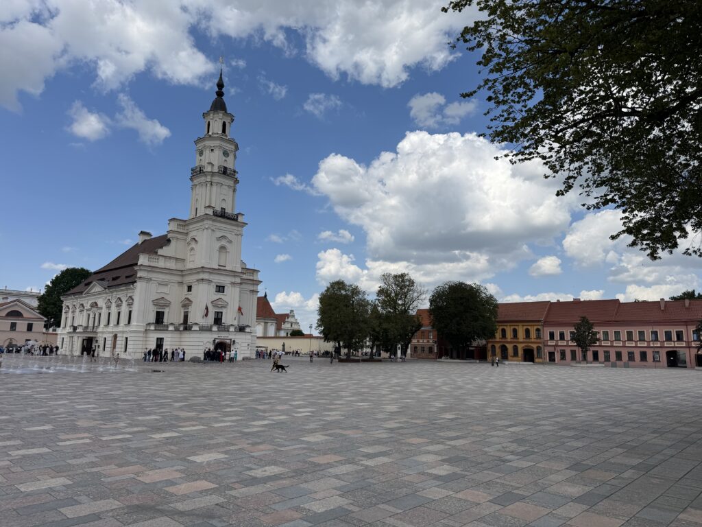 Nuodėmių gatvė Kaunas